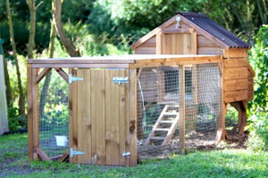 Poultry Sheds